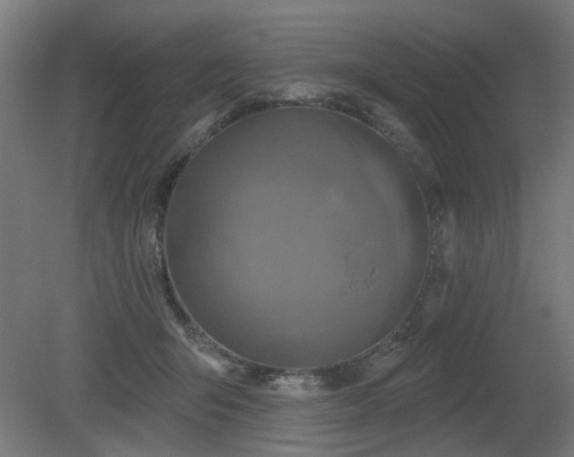 X0000079580415200612011223