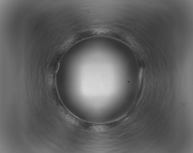 X0000079580417200612011223