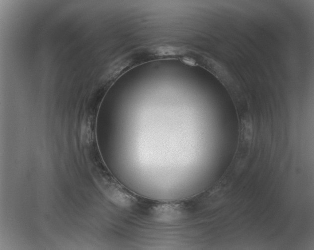 X0000079580422200612011223