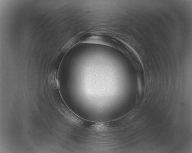 X0000079580425200612011223