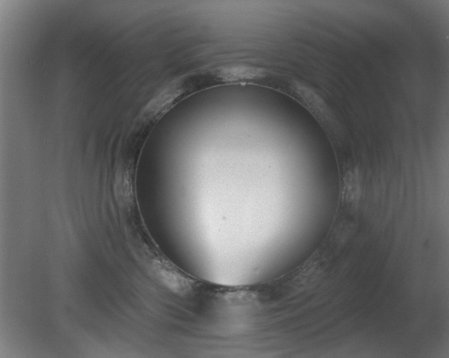 X0000079580426200612011223
