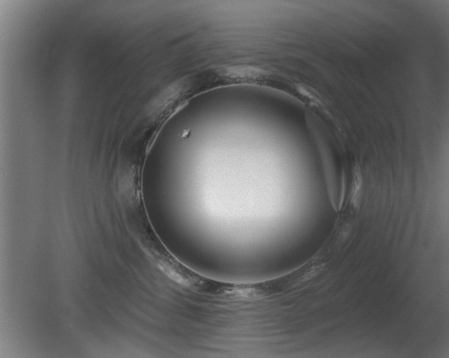 X0000079580428200612011223