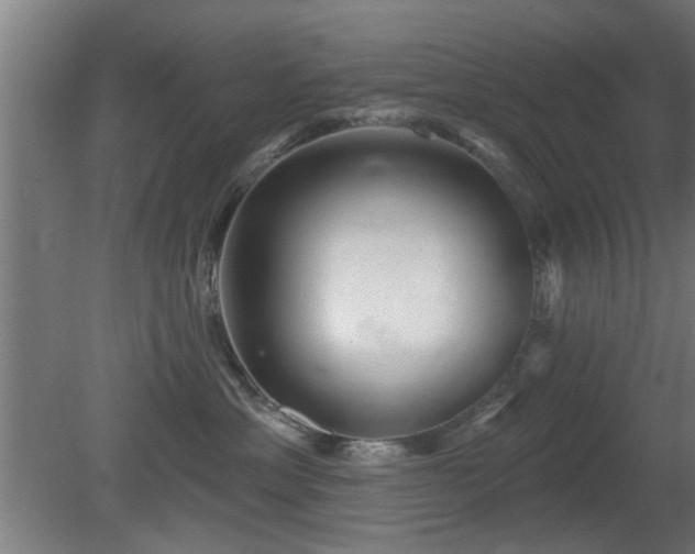 X0000079580429200612011223