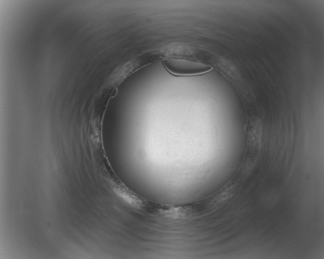 X0000079580430200612011223