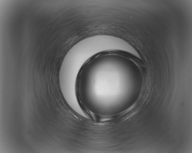 X0000079580432200612011223