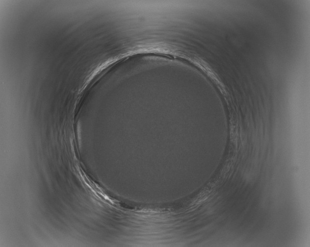 X0000079580434200612011222