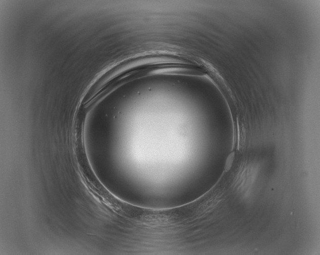X0000079580435200612011222