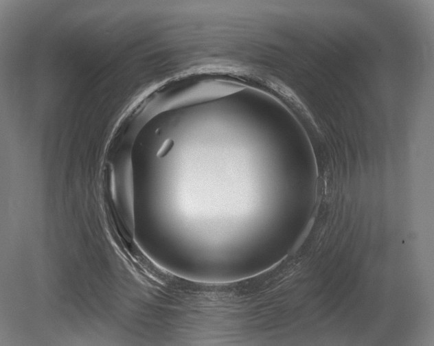 X0000079580436200612011222