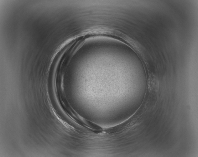 X0000079580438200612011222