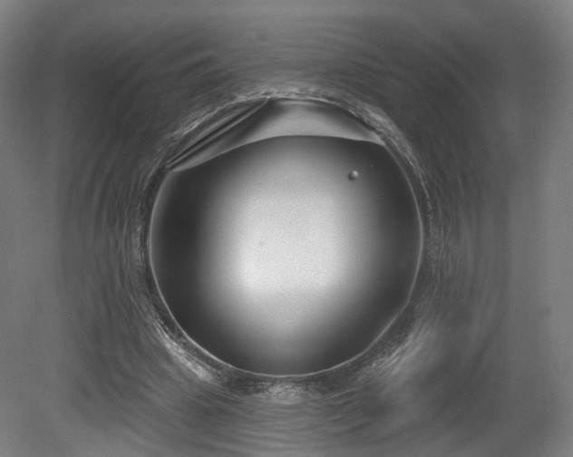 X0000079580441200612011222