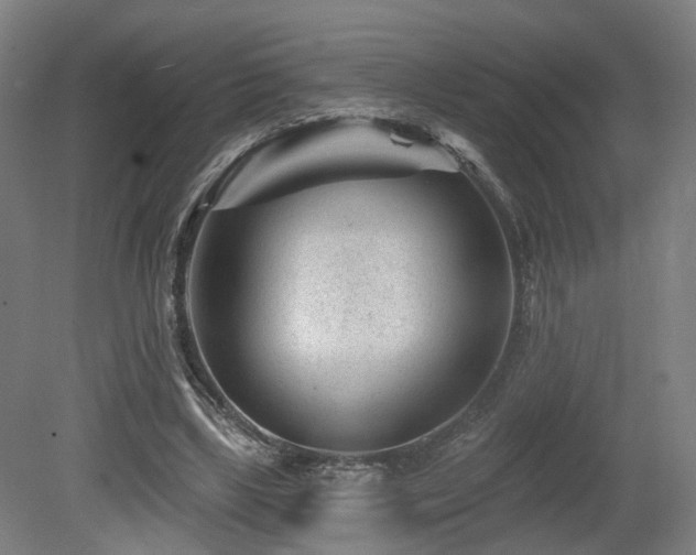 X0000079580443200612011222