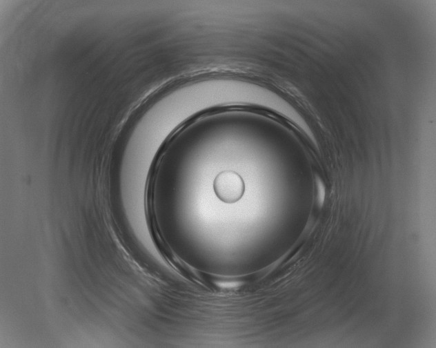 X0000079580444200612011222