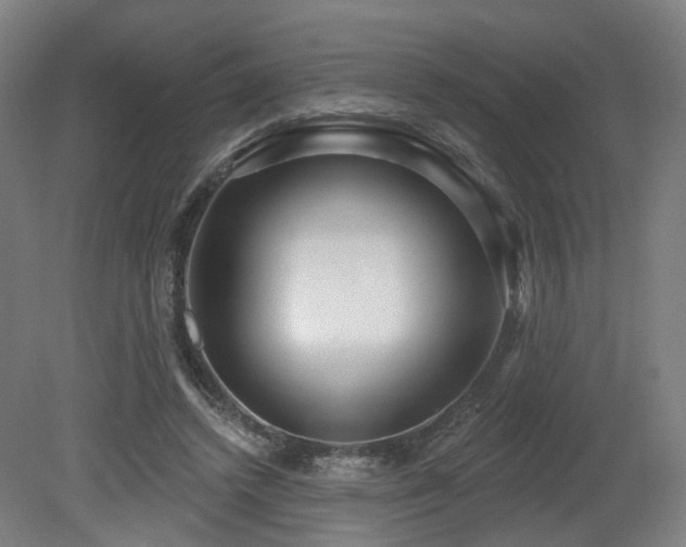 X0000079580448200612011222