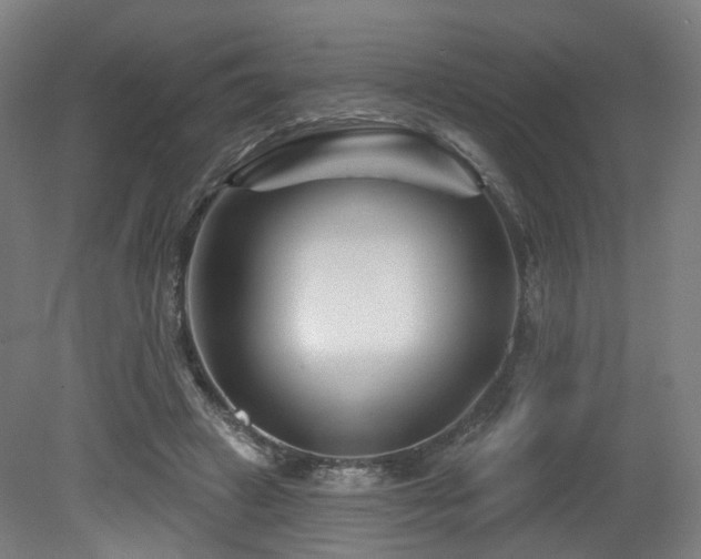 X0000079580449200612011222