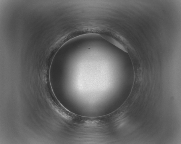X0000079580450200612011222