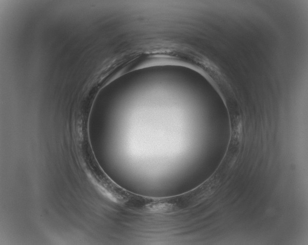 X0000079580452200612011222