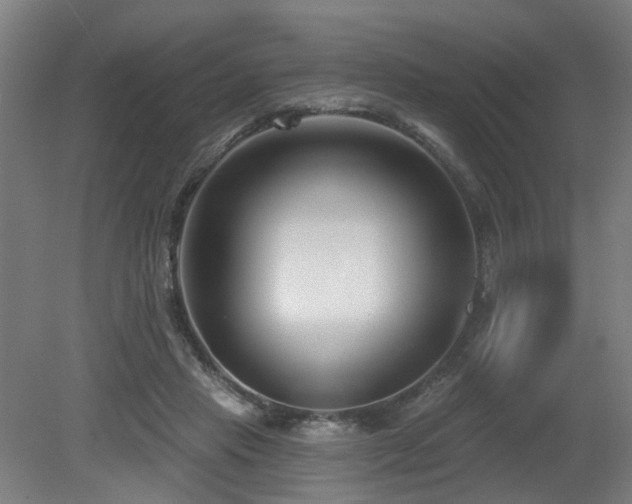 X0000079580453200612011222