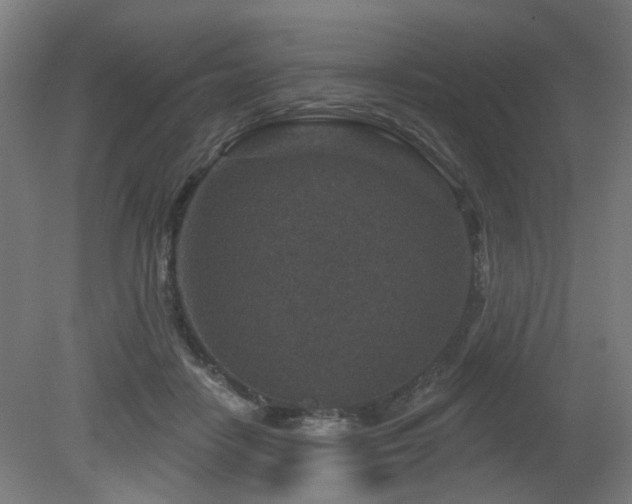 X0000079580458200612011222