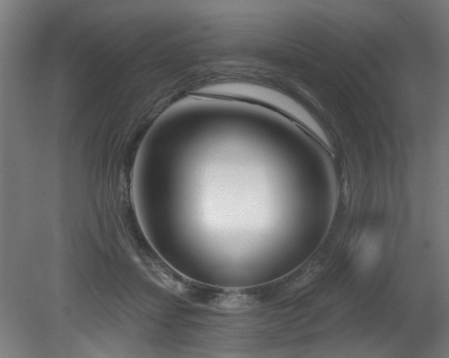 X0000079580459200612011222