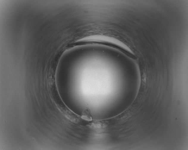 X0000079580464200612011222