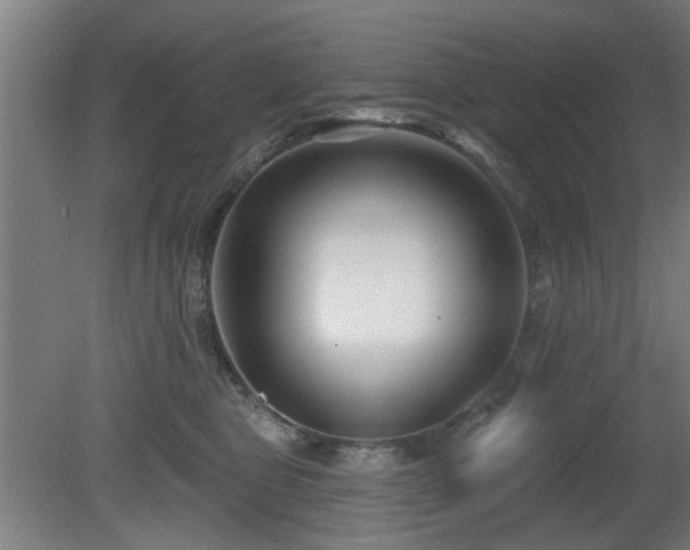 X0000079580469200612011222
