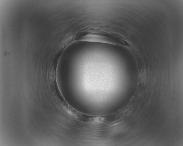 X0000079580474200612011223