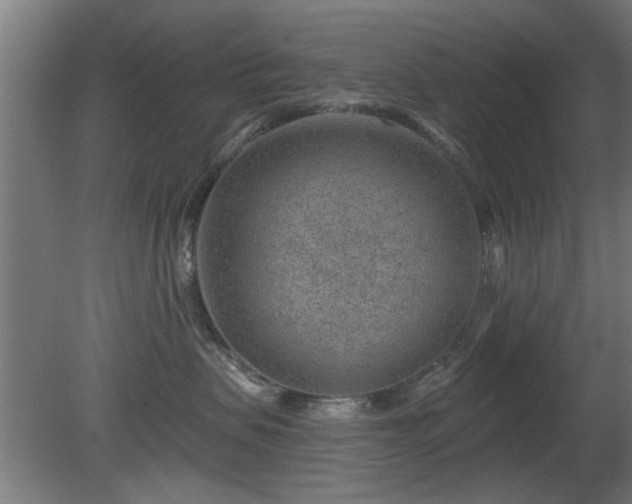X0000079580479200612011223