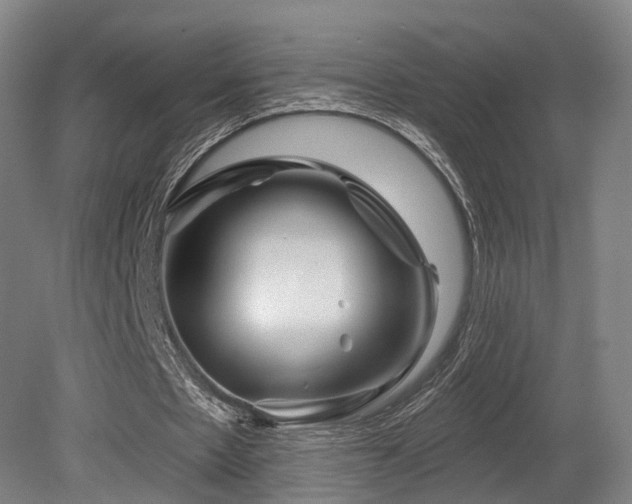 X0000079580481200612011222