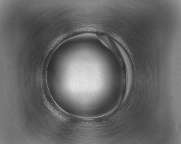 X0000079580482200612011222