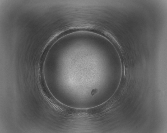 X0000079580483200612011222