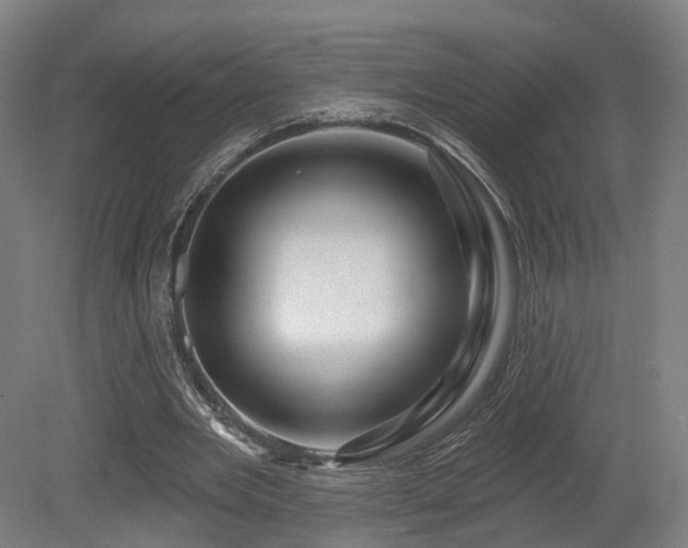 X0000079580485200612011222
