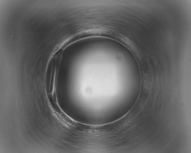 X0000079580486200612011222
