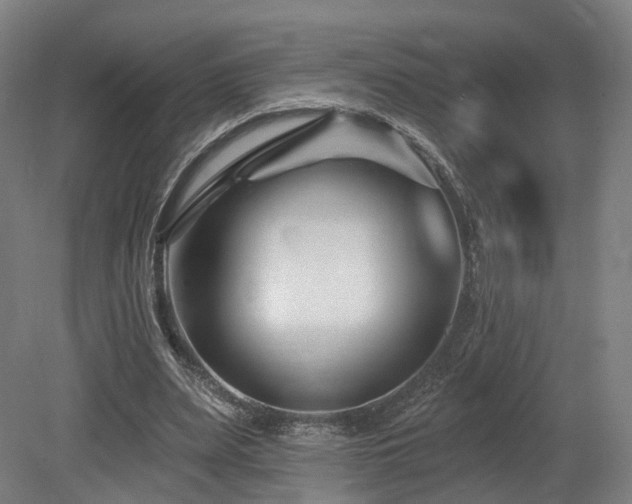 X0000079580487200612011222