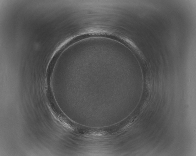 X0000079580488200612011222