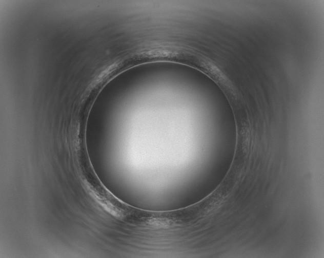 X0000079580490200612011222