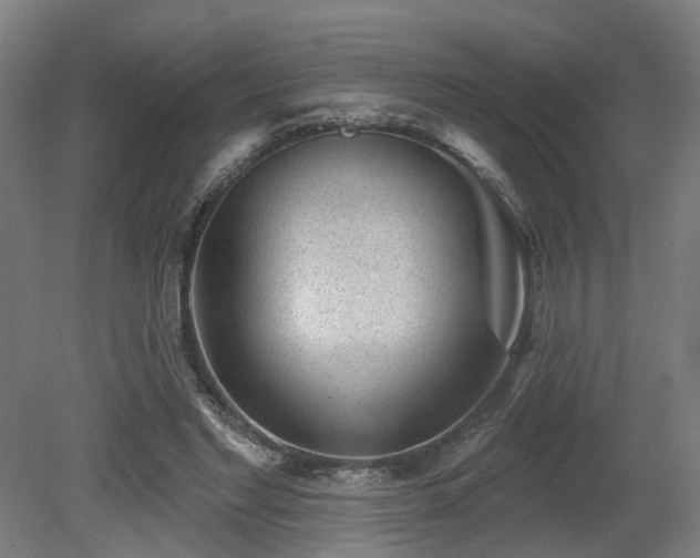 X0000079580493200612011222