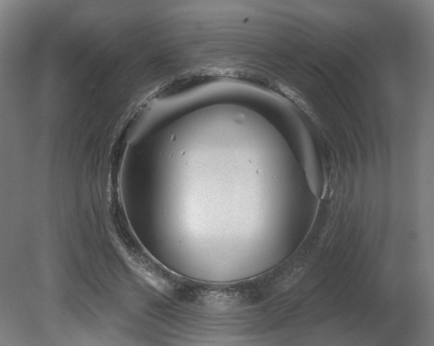 X0000079580494200612011222