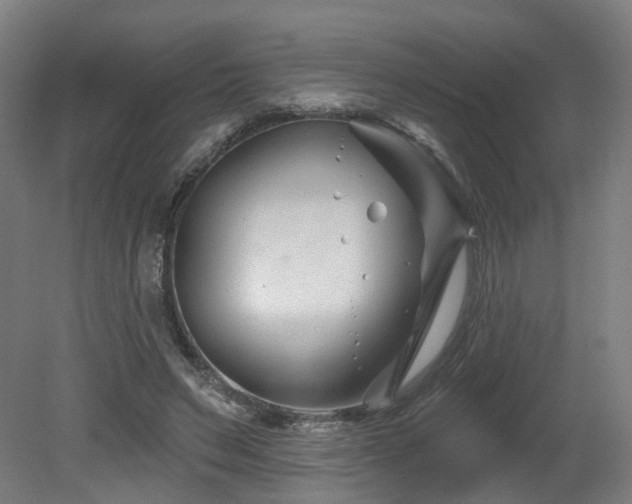 X0000079580495200612011222