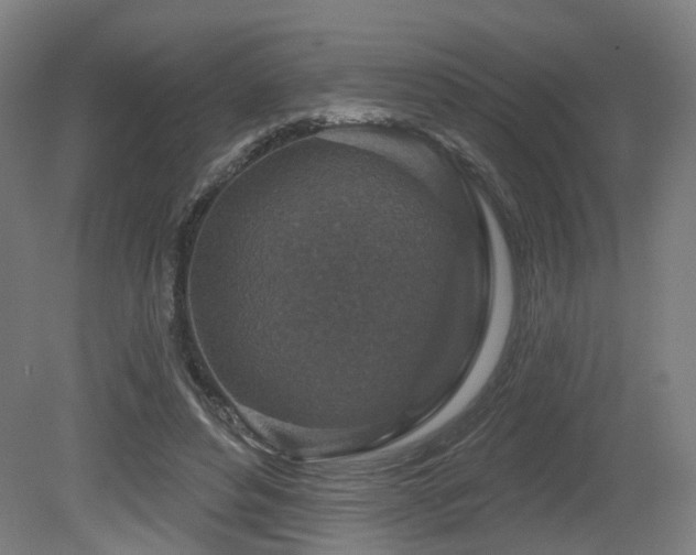 X0000079580496200612011222
