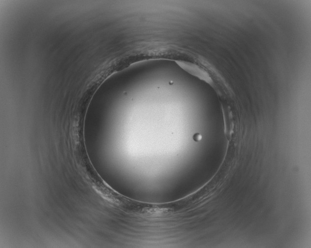 X0000079580497200612011222