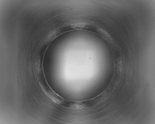 X0000079580498200612011222