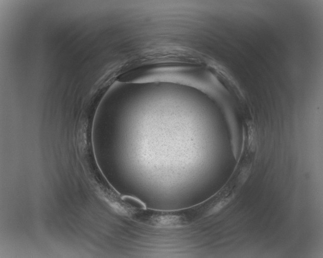 X0000079580501200612011221
