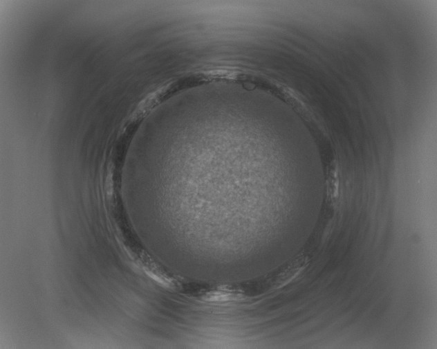 X0000079580504200612011221