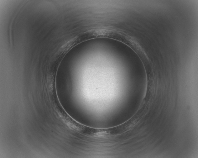 X0000079580505200612011221
