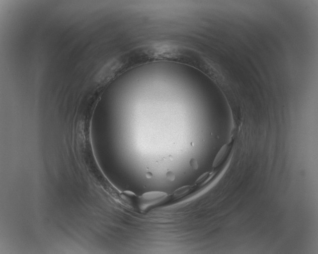 X0000079580506200612011221
