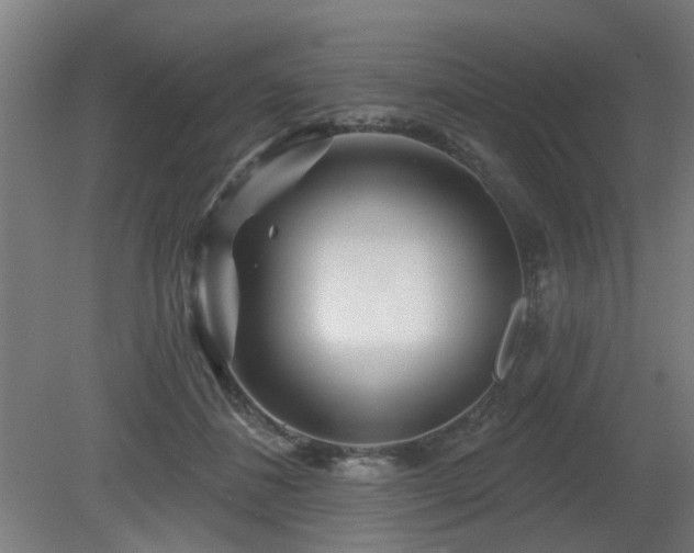 X0000079580508200612011221
