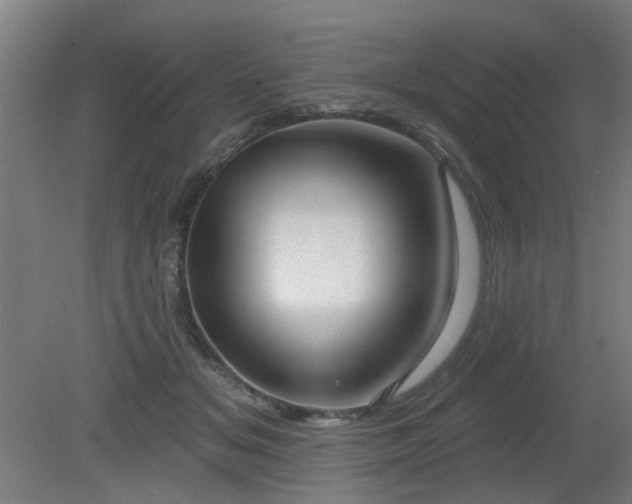 X0000079580509200612011221