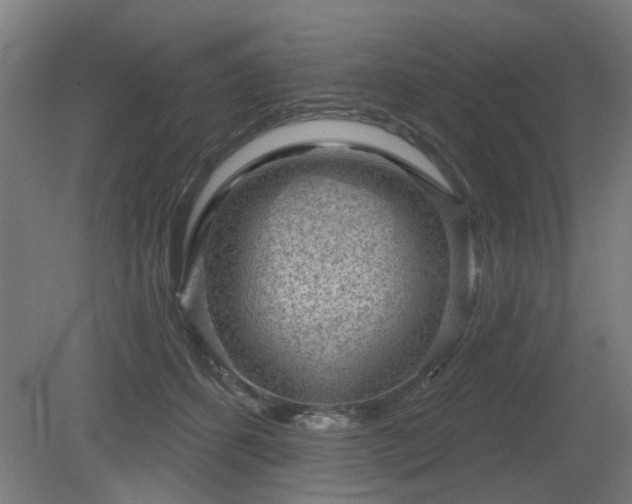 X0000079580512200612011221