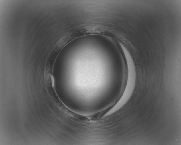 X0000079580513200612011221