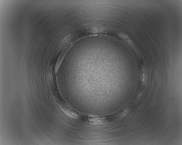 X0000079580516200612011221